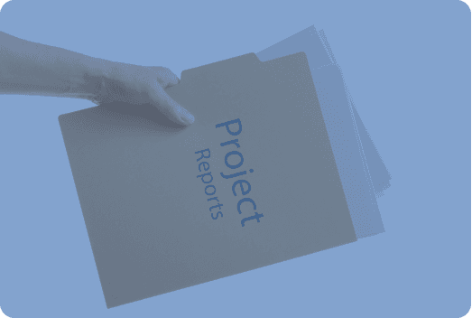 Project Report Writing Service